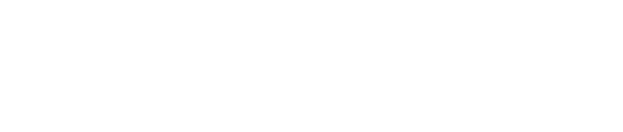 Zelmech